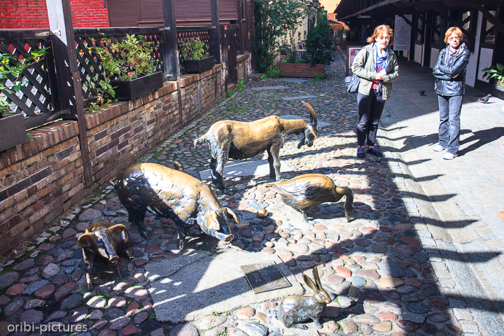 *Zwerge von Breslau (Wrocław)*<br><br><br><br>