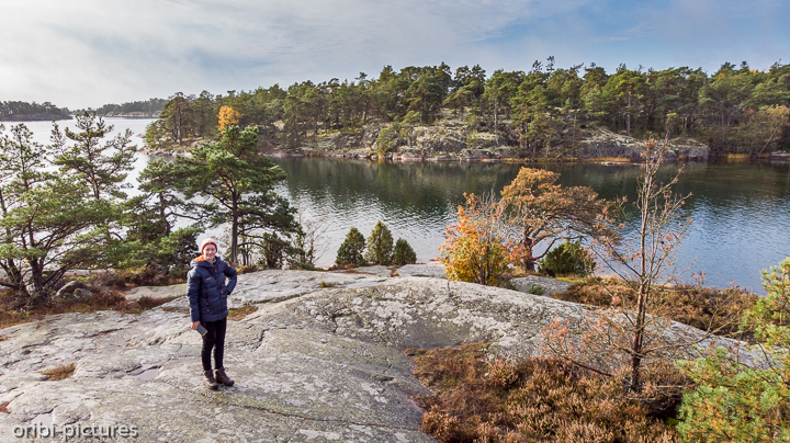 *Südschweden und Umgebung von Stockholm, 2019*<br><br><br><br>