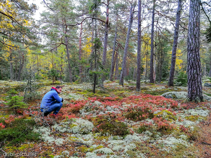 *Unterwegs südlich von Stockholm*<br><br><br><br>