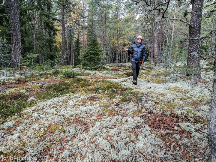 *Unterwegs südlich von Stockholm*<br><br><br><br>