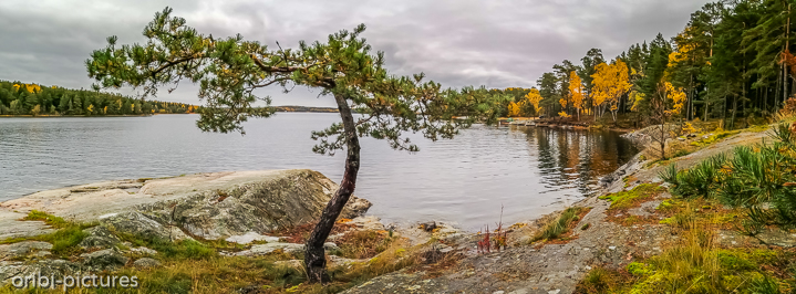 *Wild Camp auf einem Steg südlich von Stockholm*<br><br><br><br>