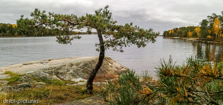 *Wild Camp auf einem Steg südlich von Stockholm*<br><br><br><br>