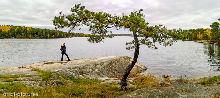 *Wild Camp auf einem Steg südlich von Stockholm*<br><br><br><br>