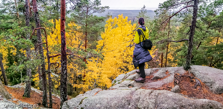 *Tivedens Nationalpark*<br><br><br><br>