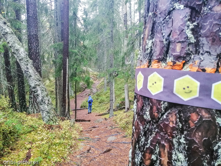 *Tivedens Nationalpark*<br><br><br><br>