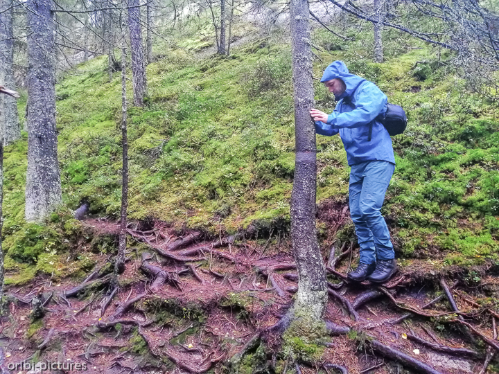 *Tivedens Nationalpark*<br><br><br><br>