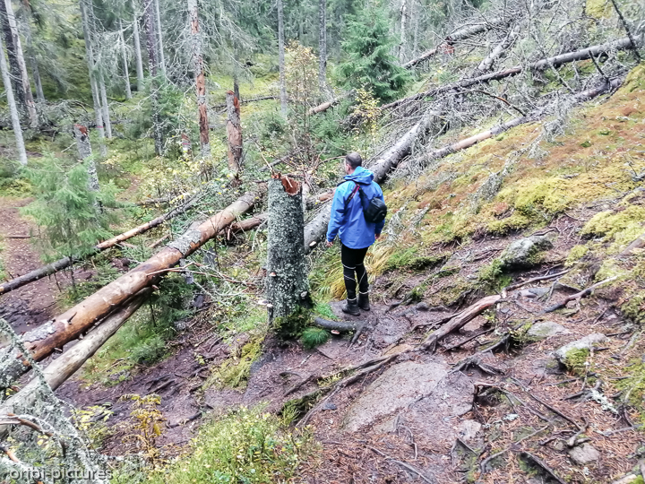 *Südschweden und Umgebung von Stockholm, 2019*<br><br><br><br>