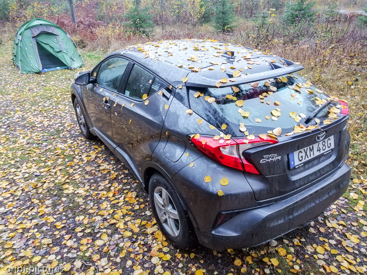 *Südschweden und Umgebung von Stockholm, 2019*<br><br><br><br>