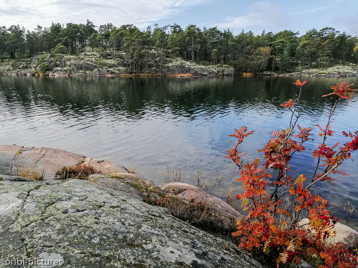 *Südschweden und Umgebung von Stockholm, 2019*<br><br><br><br>