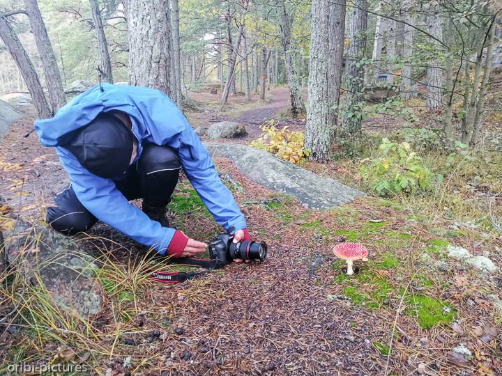 *Südschweden und Umgebung von Stockholm, 2019*<br><br><br><br>