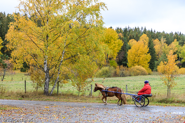 *Wild Camp nördlich von Stockholm nach Ankunft am Flughafen*<br><br><br><br>