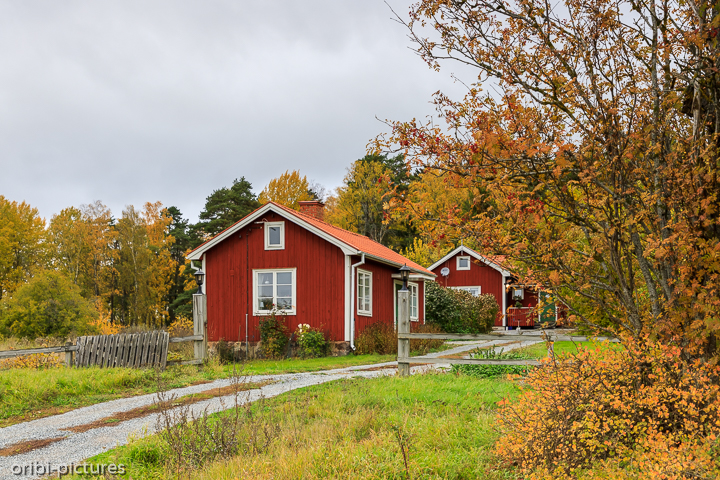 *Wild Camp nördlich von Stockholm nach Ankunft am Flughafen*<br><br><br><br>