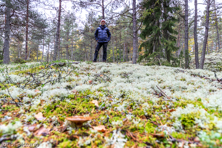 *Wild Camp nördlich von Stockholm nach Ankunft am Flughafen*<br><br><br><br>