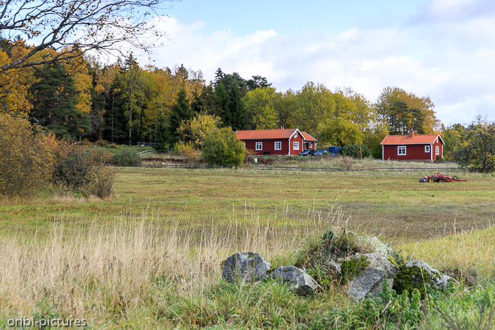 *Wild Camp nördlich von Stockholm nach Ankunft am Flughafen*<br><br><br><br>
