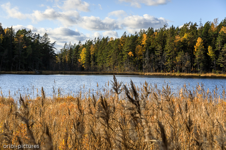 *Unterwegs südlich von Stockholm*<br><br><br><br>