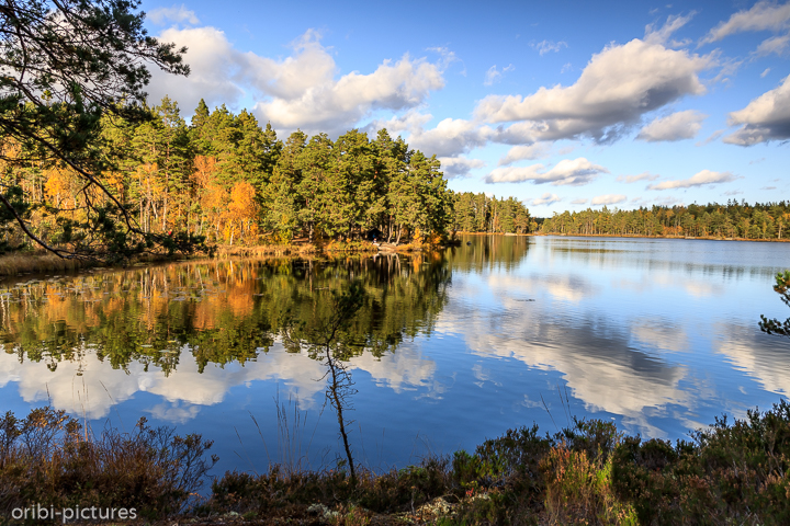 *Unterwegs südlich von Stockholm*<br><br><br><br>