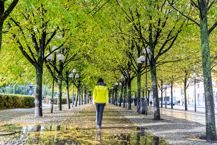 *Stockholm*<br><br><br><br>