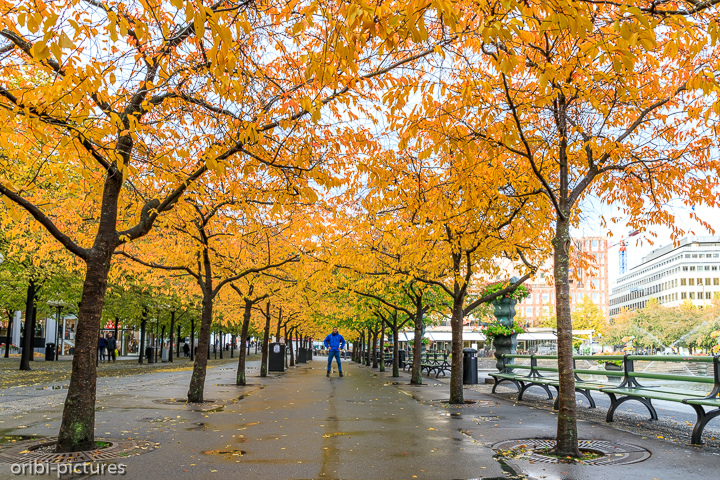 *Stockholm*<br><br><br><br>