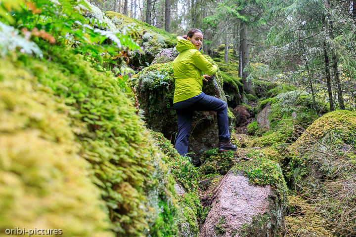 *Norra Kvills Nationalpark*<br><br><br><br>