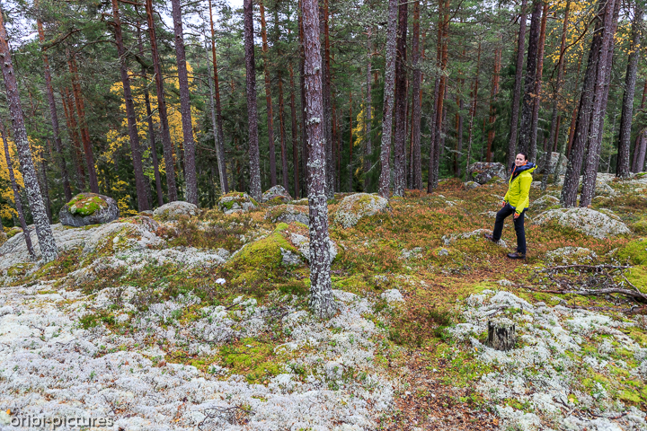 *Norra Kvills Nationalpark*<br><br><br><br>