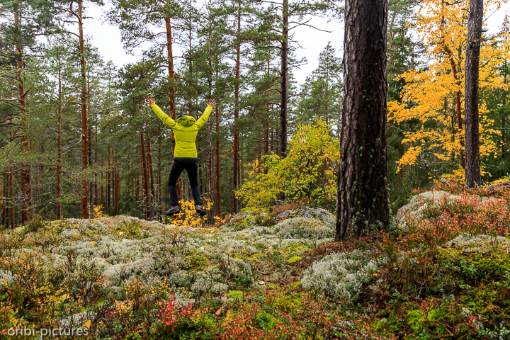 *Norra Kvills Nationalpark*<br><br><br><br>