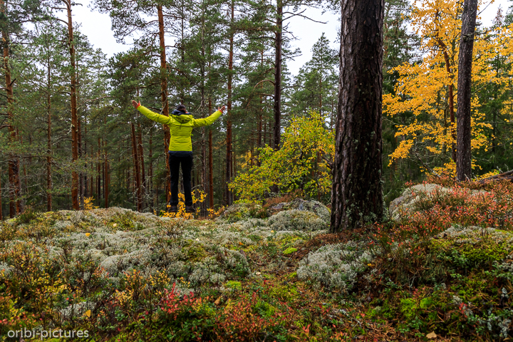 *Norra Kvills Nationalpark*<br><br><br><br>