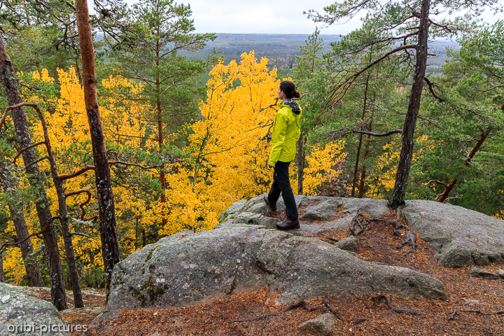 *Norra Kvills Nationalpark*<br><br><br><br>