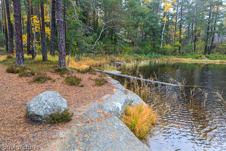 *Tivedens Nationalpark*<br><br><br><br>