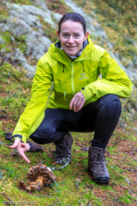 *Südschweden und Umgebung von Stockholm, 2019*<br><br><br><br>