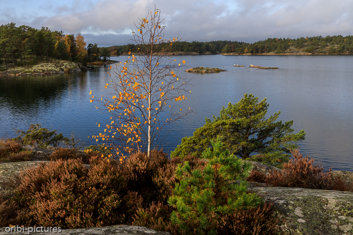 *Südschweden und Umgebung von Stockholm, 2019*<br><br><br><br>