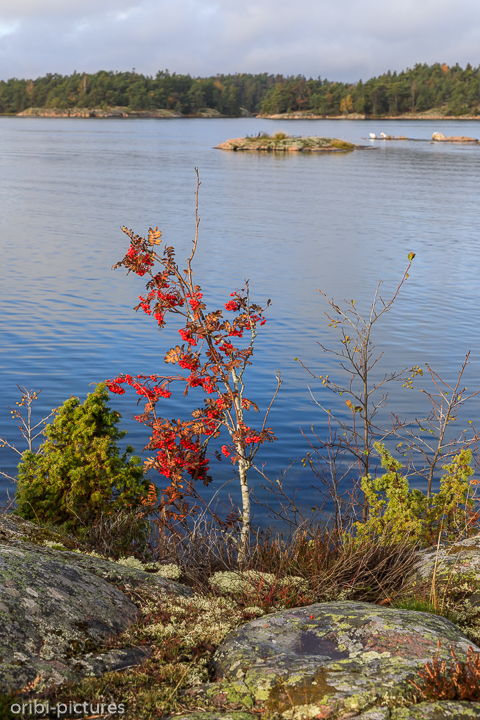 *Südschweden und Umgebung von Stockholm, 2019*<br><br><br><br>