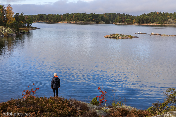*Südschweden und Umgebung von Stockholm, 2019*<br><br><br><br>