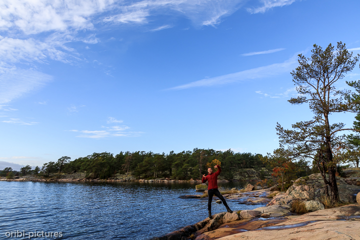 *Südschweden und Umgebung von Stockholm, 2019*<br><br><br><br>