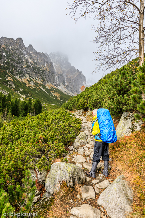 *Regen*<br><br>Wandern beim Regen mit 22kg auf dem Rücken.<br><br>