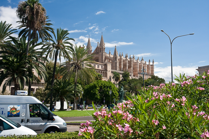 *Kathedrale La Seu I*<br><br>Die mächtige Kathedrale aus Sandstein, die Palmas Stadtteil am Wasser dominiert, ist eine der größten und schönsten gotischen Kathedralen der Welt. Innen ist sie wegen ihrer Größe und Proportionen genauso eindrucksvoll und sie verfügt durch den katalanischen Architekten Antonio Gaudí, der die Kirche im frühen 20. Jahrhundert umbaute, über mehrere hervorstechende Merkmale.<br><br>