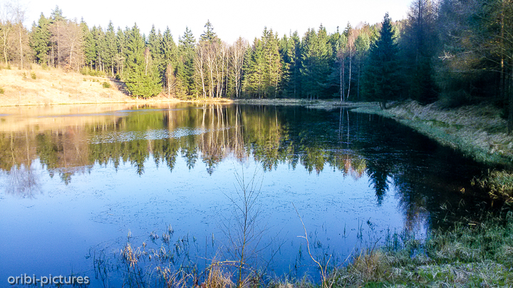 *Unterwegs auf dem Forststeig an der deutsch-tschechischen Grenze*<br><br><br><br>