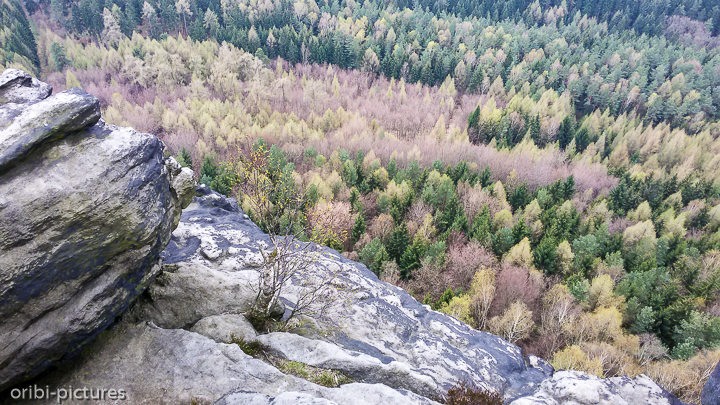 *Unterwegs auf dem Forststeig an der deutsch-tschechischen Grenze*<br><br><br><br>