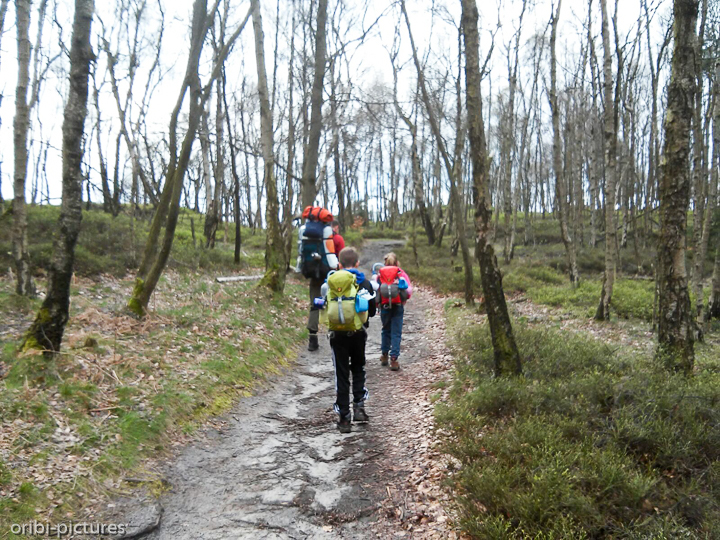 *Unterwegs auf dem Forststeig an der deutsch-tschechischen Grenze*<br><br><br><br>