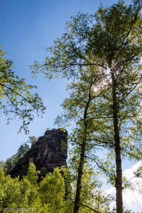 *Sächsisch-Böhmische Schweiz bei Hrensko*<br><br><br><br>