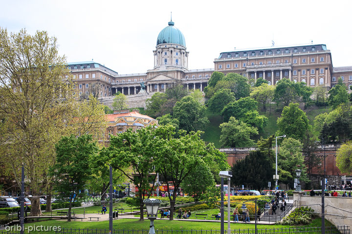 *Budapest*<br><br><br><br>